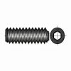 Madenschrauben / Stiftschrauben / Gewindestifte - geschwärzt M3x5 mm